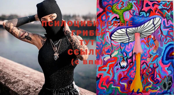 дмт Михайлов