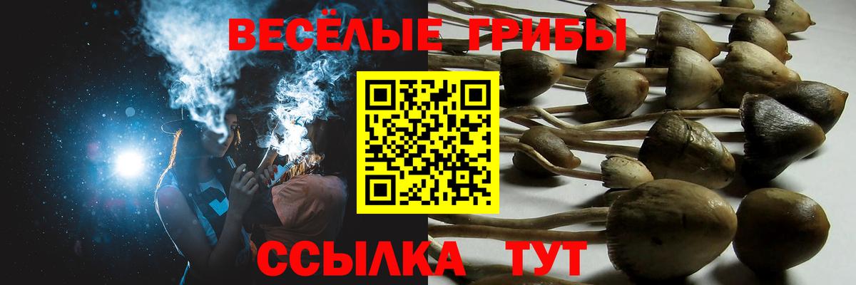 Янаул  Псилоцибиновые грибы MAGIC MUSHROOMS  Вход с VPN 